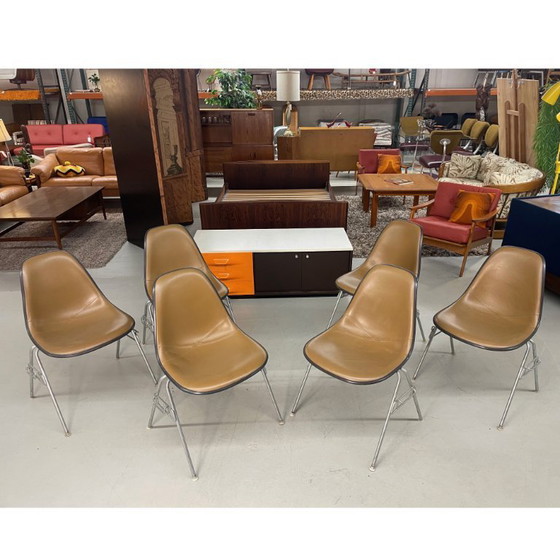 Image 1 of 6 Herman Miller Eames Stacking Shell Chairs with Brown Naugahyde Pads