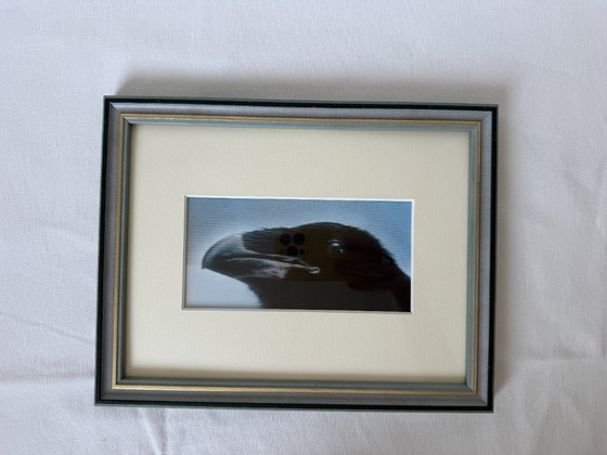 Image 1 of Almuth Hickl, œuvre originale « Corbeau », 2001, Association des artistes ouest-allemands de Düsseldorf