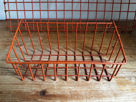 Image 1 of Saccose Binetta wandrooster