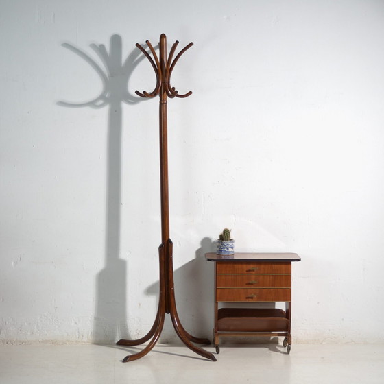 Bentwood Coat Stand in Beechwood – Austria-Hungary, Thonet Style, Circa 1900 – Coat racks, Metal (photo 33 of 36)