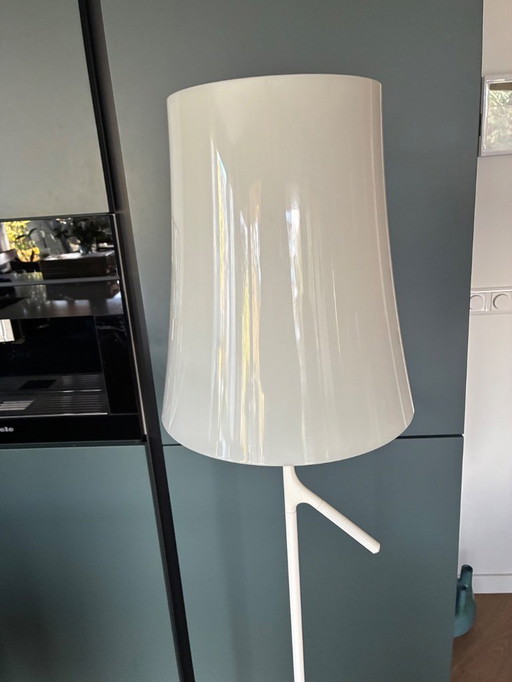 standing twilight lamb