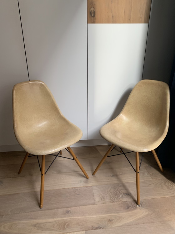 Image 1 of 2 sedie laterali vintage Eames Miller DSW in fibra di vetro color ocra chiaro