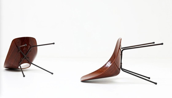 Image 1 of Sedie Medea di Vittorio Nobili per Tagliabue, anni '50