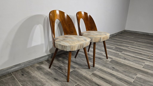 Pair of Dining Chairs by Antonin Suman