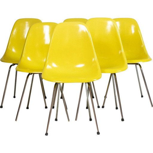 Set of 6 vintage Dsx model chairs in yellow fiberglass and chromed metal, 1960s