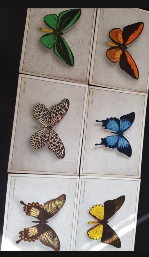 Complete Series (6 pcs) Antique Advertising Chromos Butterflies