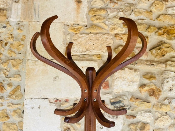 Image 1 of Appendiabiti in piedi, vintage, di metà secolo, in legno di Bentwood di Baumann, anni '60