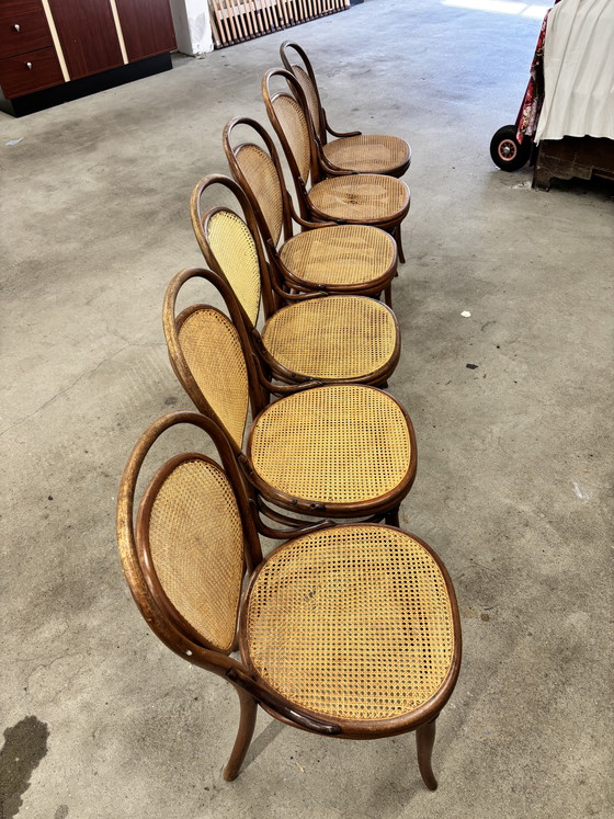 Image 1 of 6 stuks Antieke Thonet Stoelen