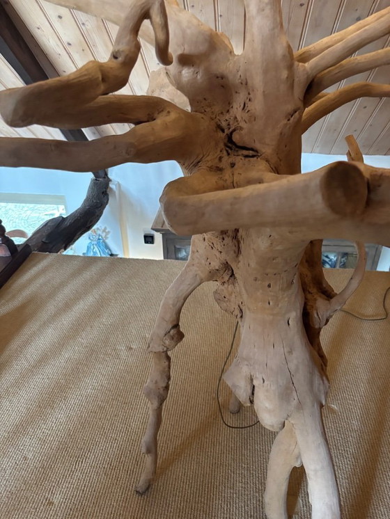 Image 1 of Vloerlamp mangrove 