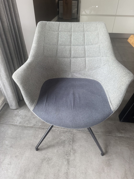 Image 1 of Sedie da pranzo Zuiver Doulton - 8 pezzi