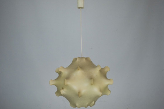 Image 1 of Rara lampada a sospensione in bozzolo di fiori di Taraxacum, prima edizione, anni '60.