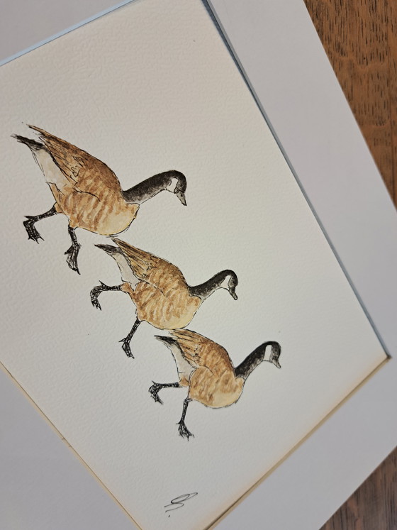 Image 1 of Watercolor Canadian Geese | Framed