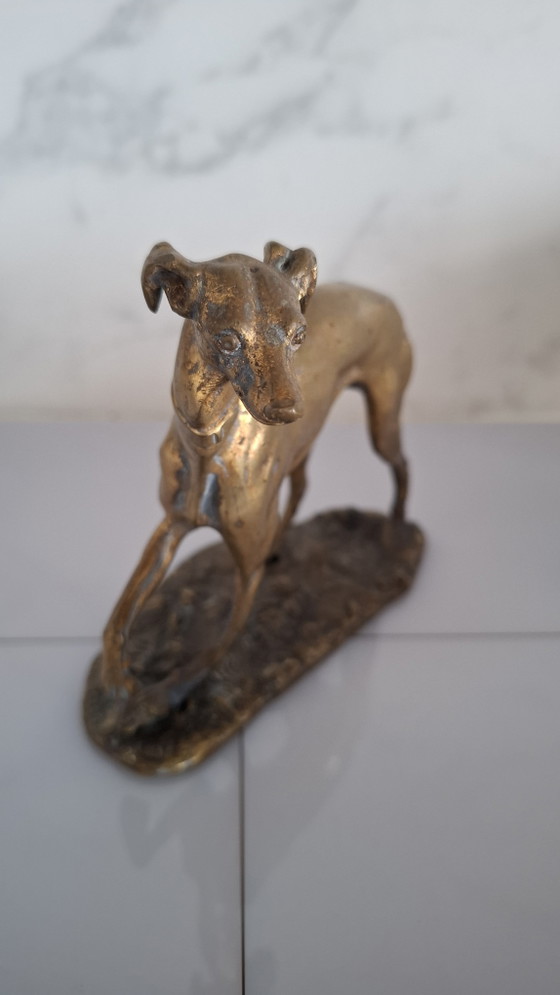 Image 1 of Lévrier en bronze, fin du XIXe ou début du XXe siècle.