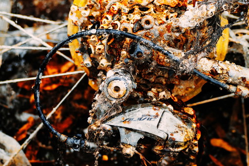 Robbert Frank Hagens Bicicleta llevada por el mar I | 2023
