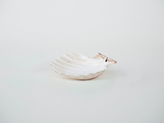 Image 1 of Coquillage décoratif, style bohème, années 1980