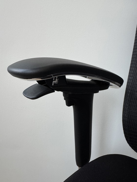 Image 1 of Okamura Contessa Seconda