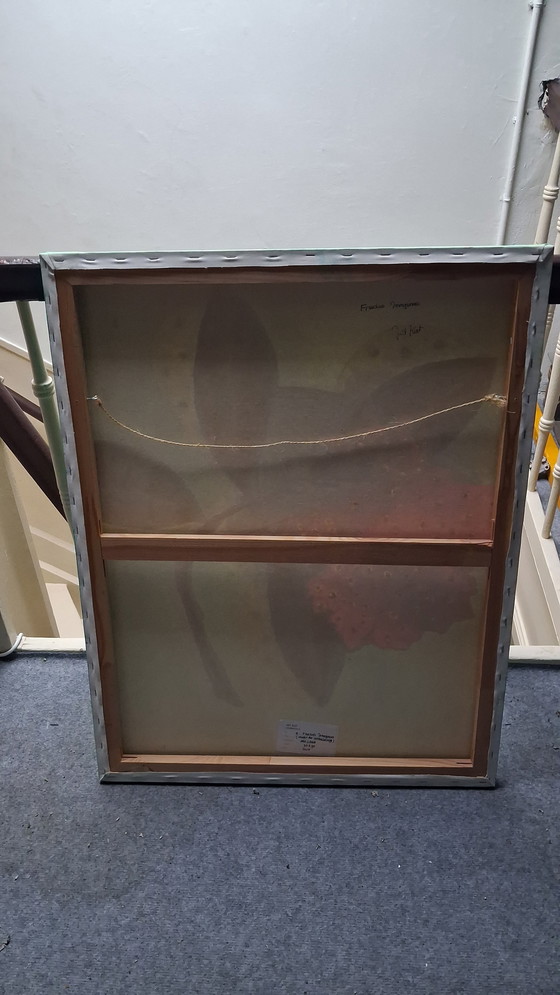 Image 1 of Fructose Imaginae, the fruit of the imagination