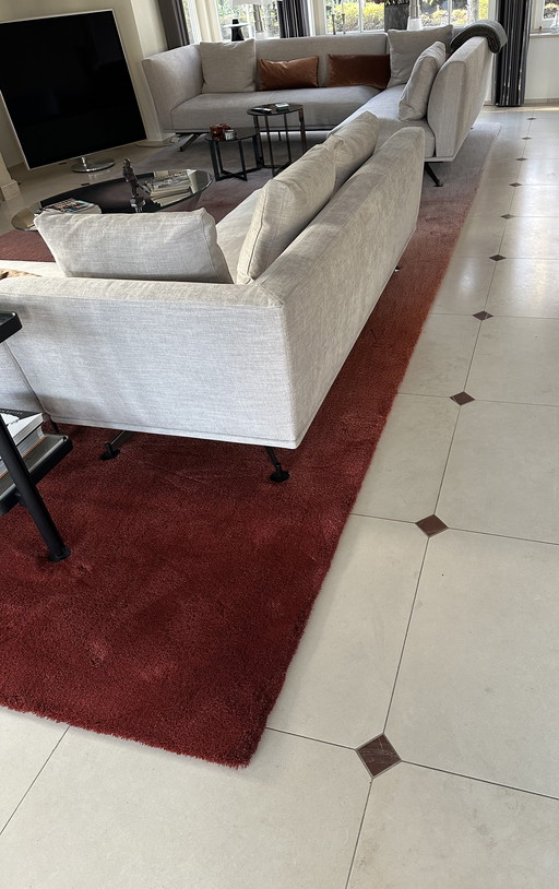 Tappeto in lana Millenerpoort 6,40 x 3,20