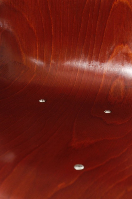 Image 1 of Pagholz & Elmar Flötotto - Model 1507 chair circa 1960