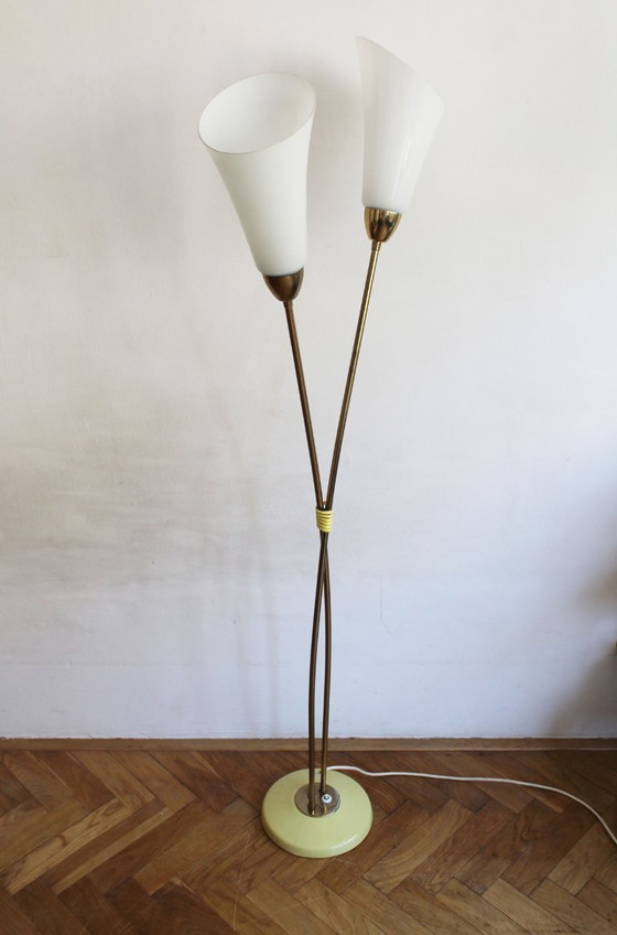 Image 1 of Organic Mid-Century Modern Floor Lamp in Brass and Milk Glass, Czechoslovakia