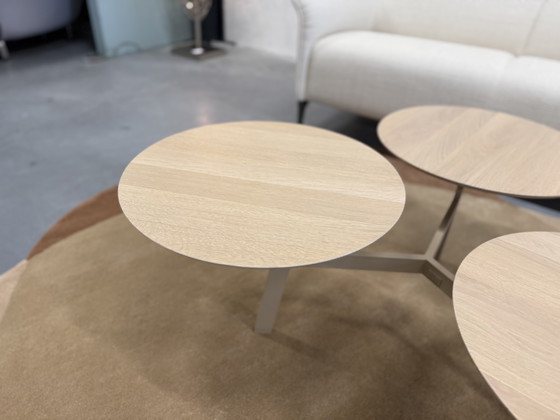 Image 1 of Leolux Ninfea Rondo Couchtisch aus Eichenholz