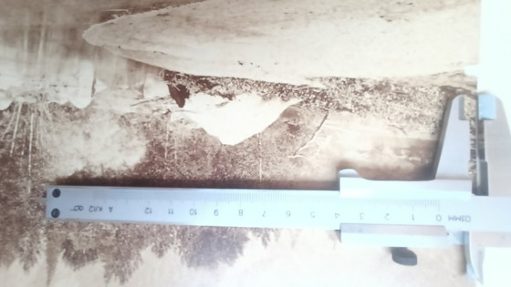 Image 1 of Carleton E. Watkins (1829–1916) Very rare Self portait on stone, Yosemite park.