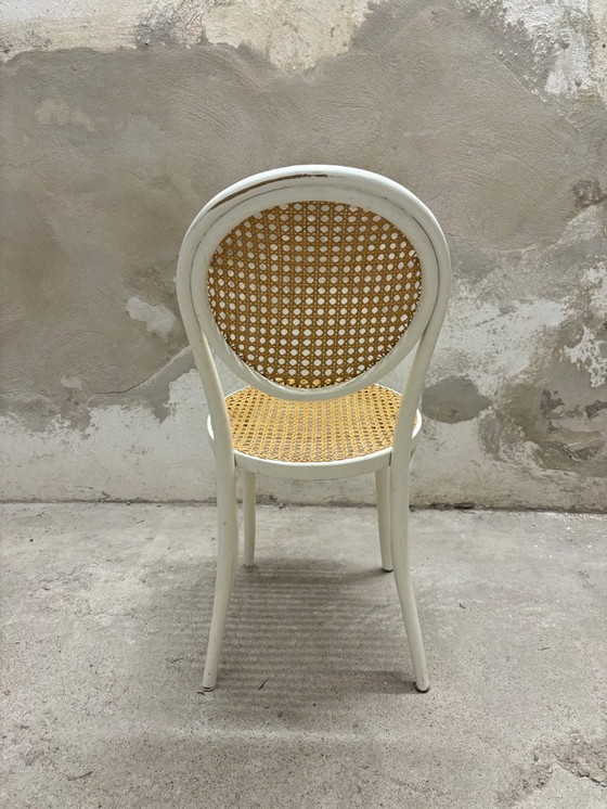 Image 1 of Thonet ZPM Radomsko Stuhl Kaffeehaus