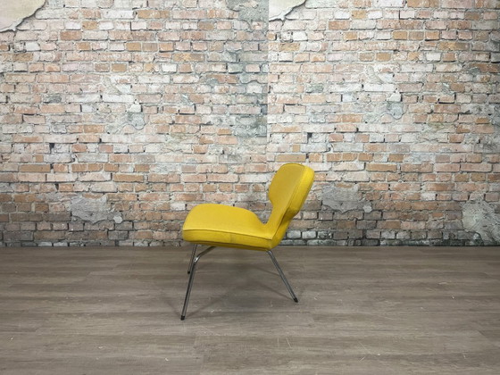 Image 1 of Artifort Libellula gialla