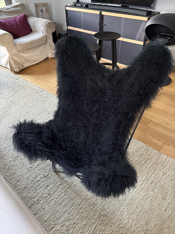 Image 1 of Iceland Mariposa Butterfly stoel