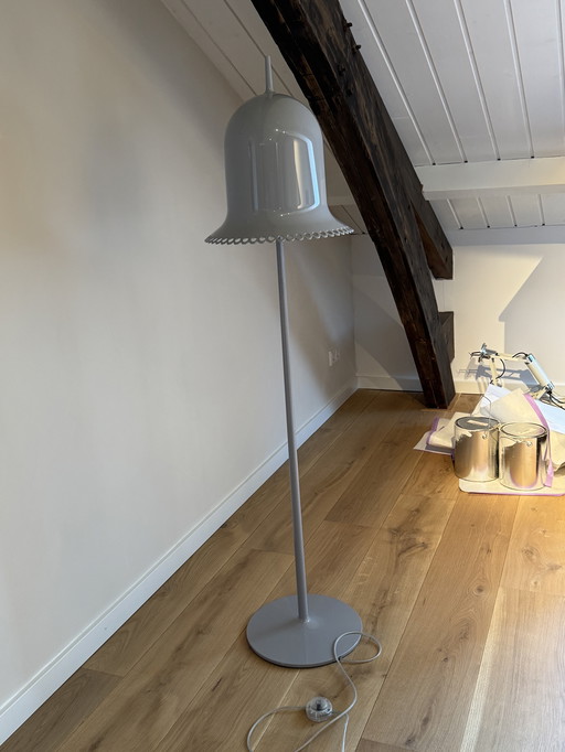 Lolita Moooi Lamp Grey