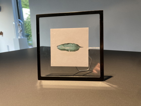 Image 1 of Picture frame with illustration of teal feather