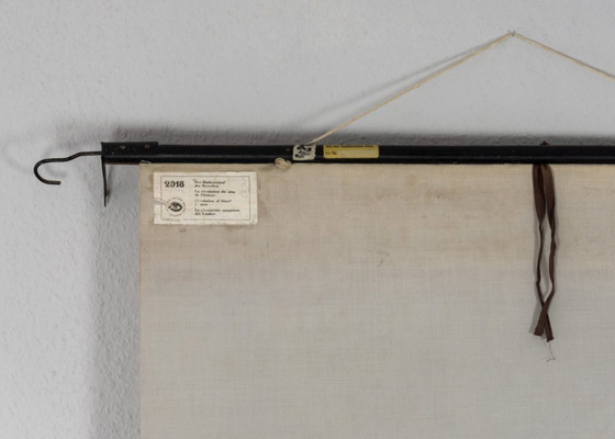 Image 1 of Original Vintage Schulwandkarte Mensch Blutkreislauf Anatomie Plakat Lehrtafel Rollkarte Biologie DHM Dresden DDR