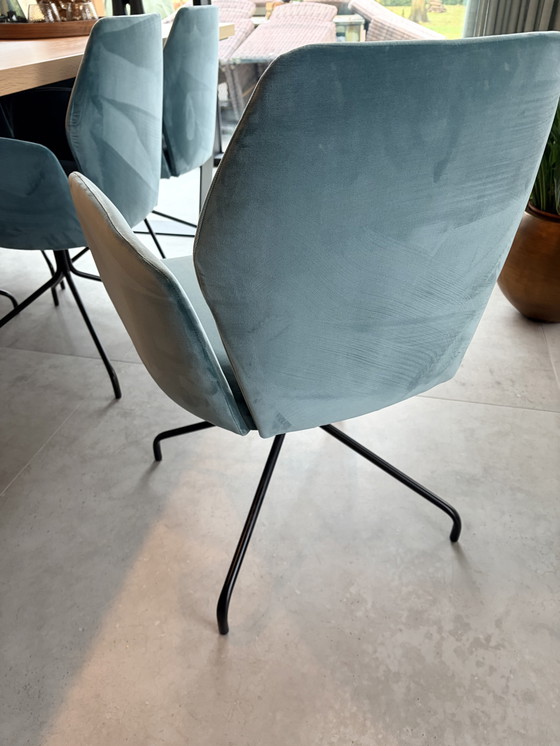 Image 1 of 8x Silla de comedor Nixdesign azul/verde