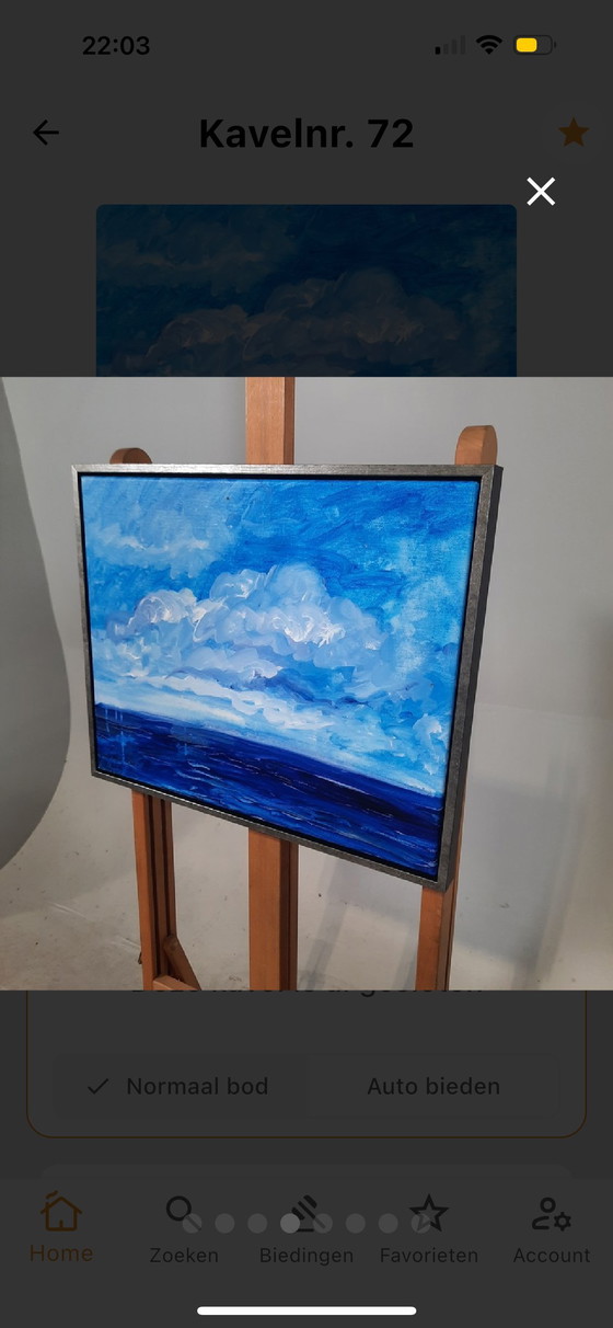 Image 1 of Maya wildevuur, klein werk 50x40 cm acryl schilderij. Atlantische oceaan