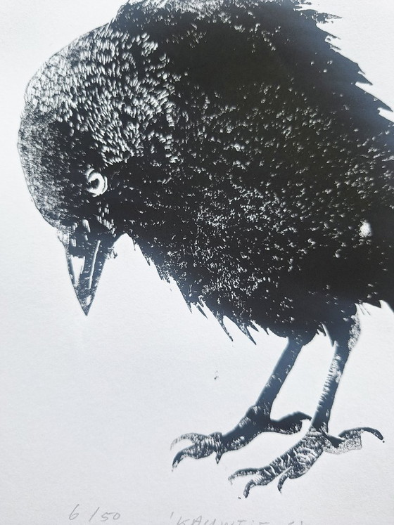 Linoprint 'Kauwtje' – M. Jasperse, Kunst, Papier (photo 3 of 9)