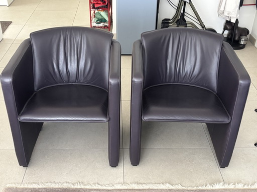 Leolux Fiabo armchair eggplant color