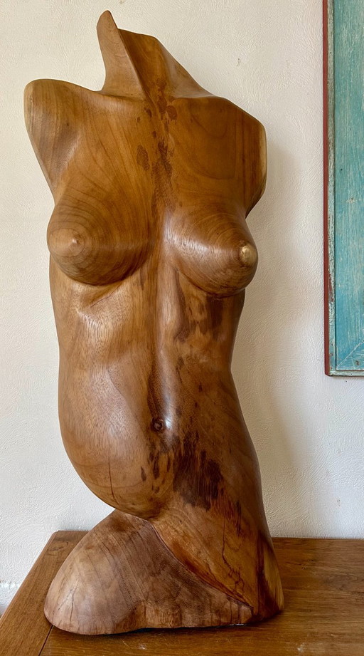Torso Femminile