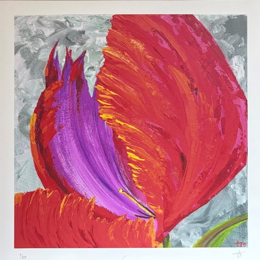 Feliz cumpleaños – Impresión artística de edición limitada (30 x 30 cm), firmada y numerada, incluye certificado.