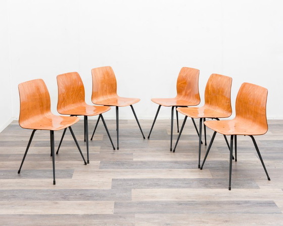 Image 1 of 6er Set Pagholz-Stühle in zweifarbiger Ausführung, Hersteller Pag Presswerke.