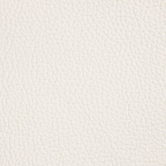 Image 1 of 6x Cattelan Italia Leather Dining Chairs - Arcadia