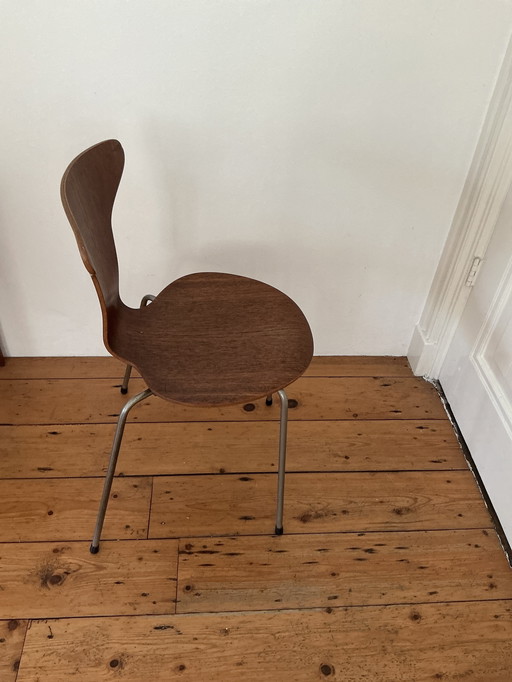 Mosquito Chair