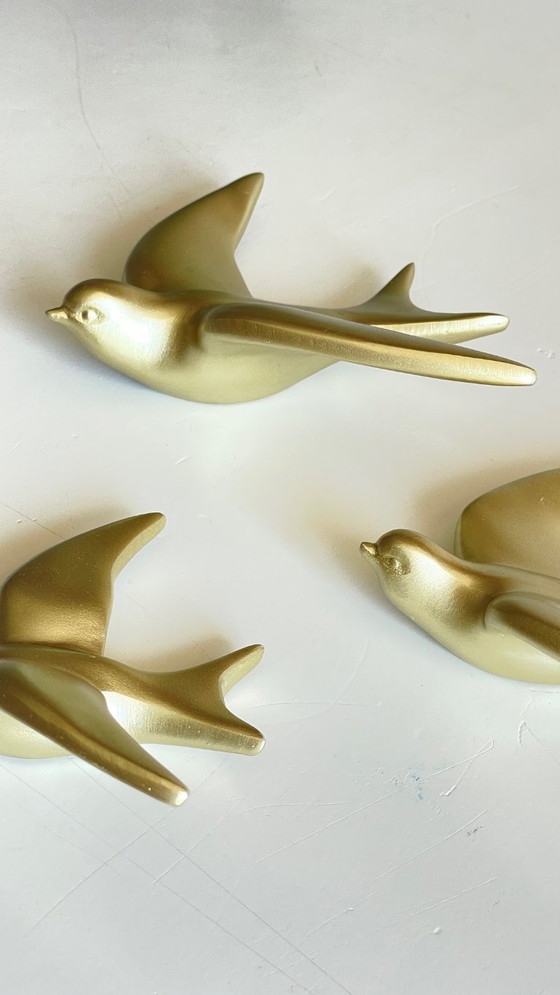 Image 1 of Hirondelles dorées