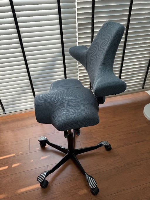 HÅG Capisco Ergonomische Bureaustoel