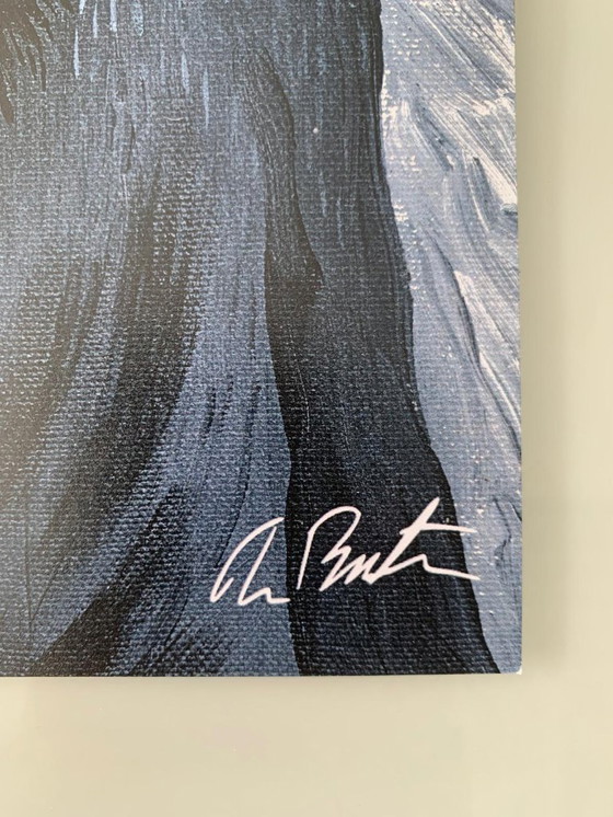 Image 1 of Tim Burton – Pass Delud Charlie – Official Signed Limited Edition Print – 20x30 cm