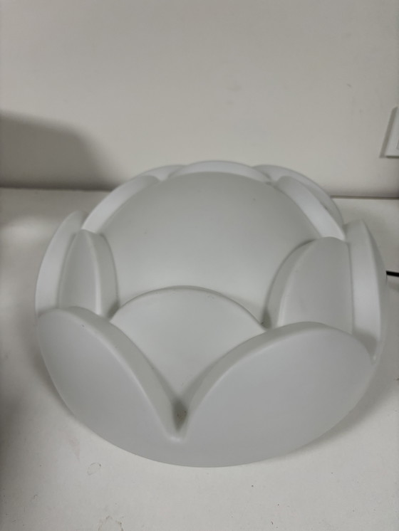 Image 1 of Artisjok / Seerose /Nizza wand - plafondlamp Peill Putzler uniek groot model 40cm