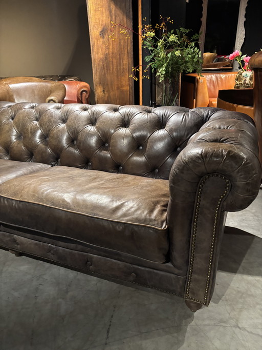 Chesterfield 3-Sitzer-Sofa, braun/grau/taupefarben, Leder, igs