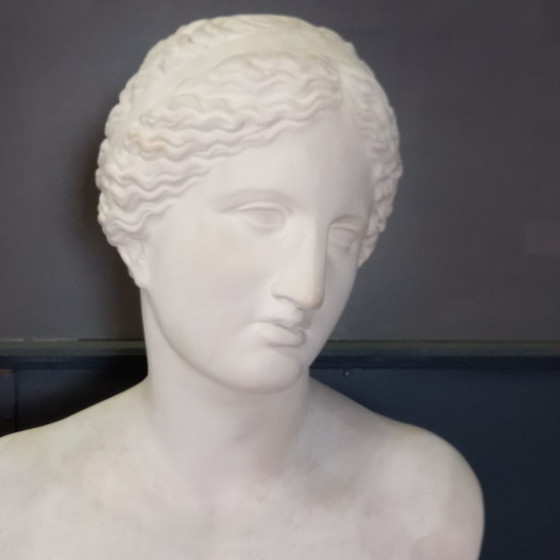 Image 1 of Busto excepcionalmente grande de tamaño natural de la Venus de Milo, busto grande de yeso