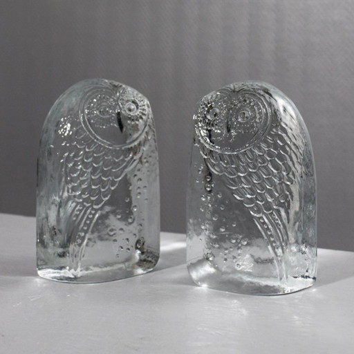 Par de grandes sujetalibros vintage de cristal moldeado con forma de búhos