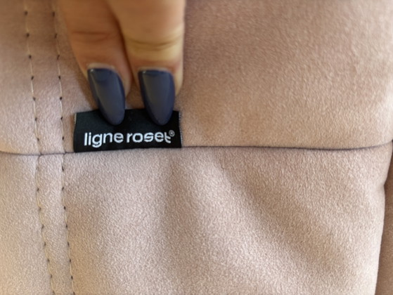 Lignet Roset – Ligne Roset, Sessel, Other (photo 10 of 11)