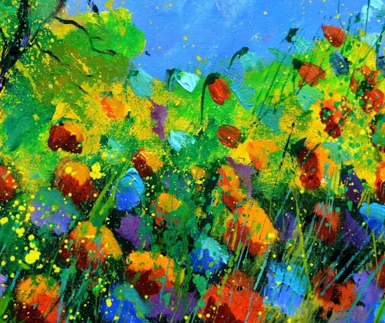 Image 1 of papaveri rossi